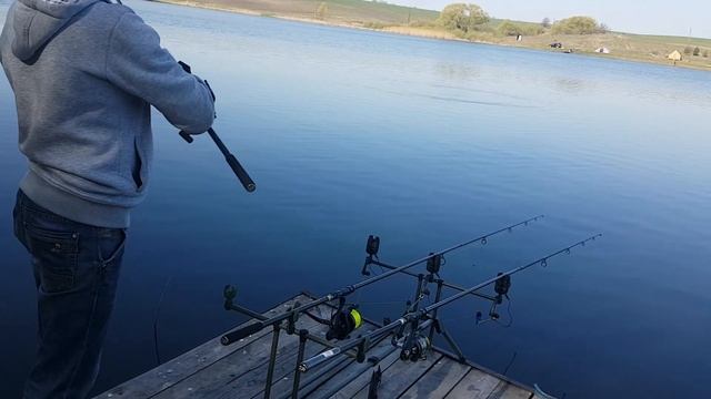 Карпфишинг в кустах, Орловская область. смотреть онлайн