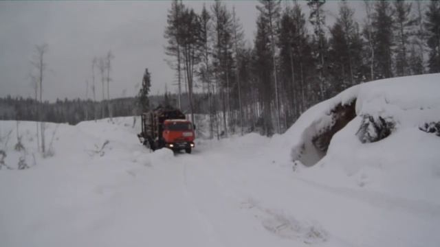 Житель Карелии решил установить палаточный блок-пост на лесной дороге смотреть онлайн