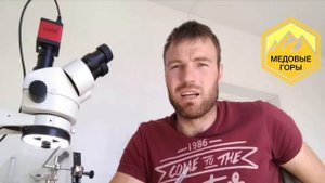 Михайл Владимирович Гращенко "Простейший способ вывода маток на пасеке для начинающих" 16.03.2019