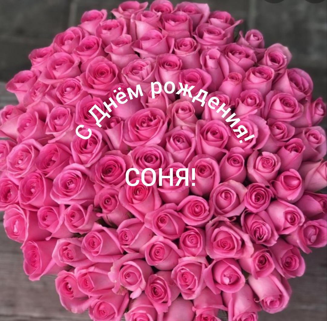 Соня с днем рождения картинки