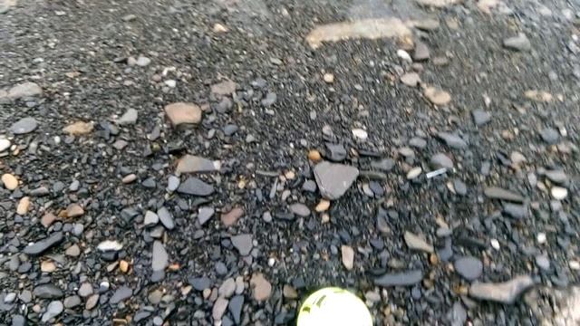 Моребол. Часть 1.