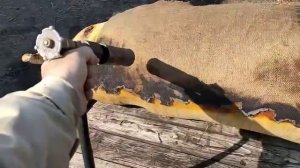 Казак казакам куда правильно колоть.