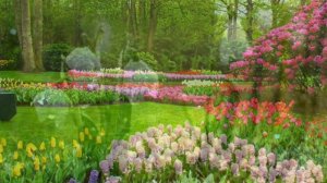 Аффирмации на быстрый рост волос! Аффирмации от облысения!