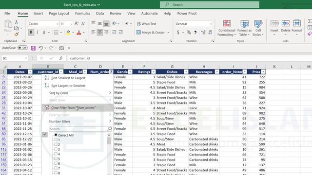 How to Filter Like a Pro in Excel: Mastering Basic to Advanced Filtering Options in Microsoft Excel