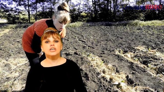 Подкормка из дрожжей творит чудеса! Подкормка для растений из дрожжей своими руками. смотреть онлайн