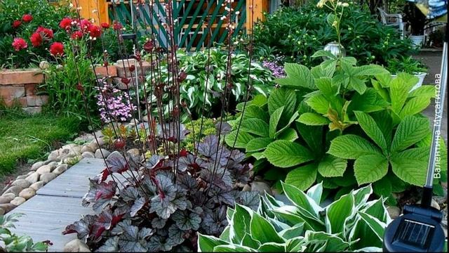 ❀ Садовые композиции с гейхерами