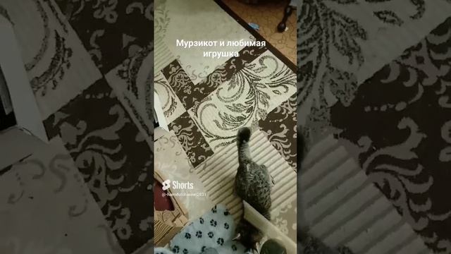 любимая игрушка в 5 часов утра. смотреть онлайн