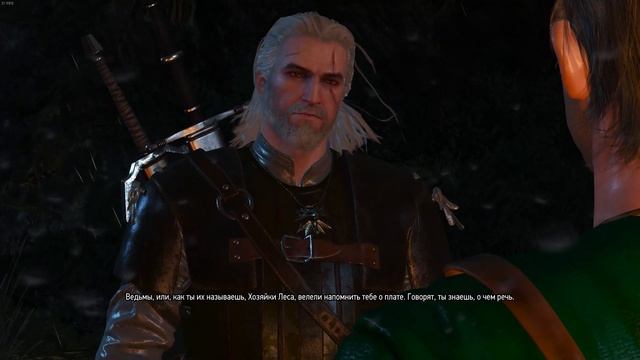 Прохождение Ведьмак 3: Дикая Охота - Часть 25: Хозяйки леса часть 2 смотреть онлайн