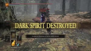 Dark Souls 3: Invasion Frenzy