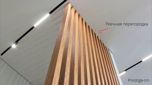 ТРЕК-СИСТЕМА встроенная в натяжной потолок