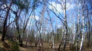 🐟Щукинский полуостров. Райский уголок в Москве.