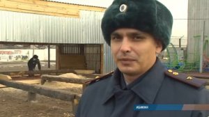 На распил  в ИК 33 Хакасии открыли новое производство