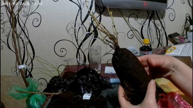 Распаковка.Агрохолдинг 