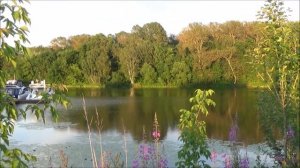 Николай Рыленков-- Всё в тающей дымке.  Читает Смирнова Галина.