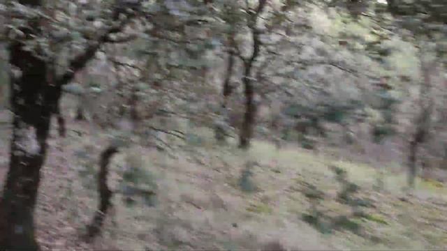 huevo de rey , mi primer huevo de rey ????????? смотреть онлайн