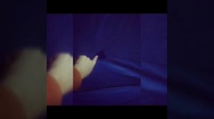 Палатка TRAVELTOP двойной куб