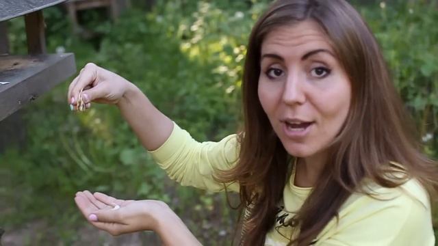 Худеем с Мариной Евтешиной. 3 вида шашлыков или вкуснейшие рецепты на углях. смотреть онлайн