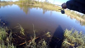 Ультралегкий спиннинг. В погоне за крупной плотвой в начале мая. Мормышинг