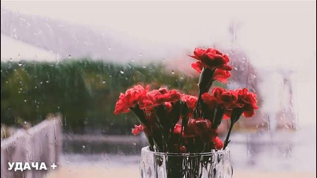 8 сентября День Натальи  Что нельзя делать 8 сентября День Натальи  Народные традиции и приметы
