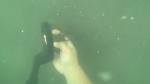 Первый подводный поиск Грузия!