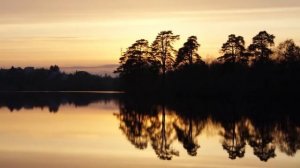 ПОДВОДНЫЕ МОНСТРЫ России - 5 ЧУДОВИЩ из глубин