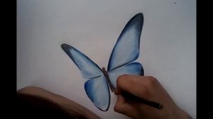 Бабочка 3D...Рисуем бабочку карандашом