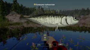 Трофей колюшка трёхиглая Ладожское озеро #рр4 #рыбалим