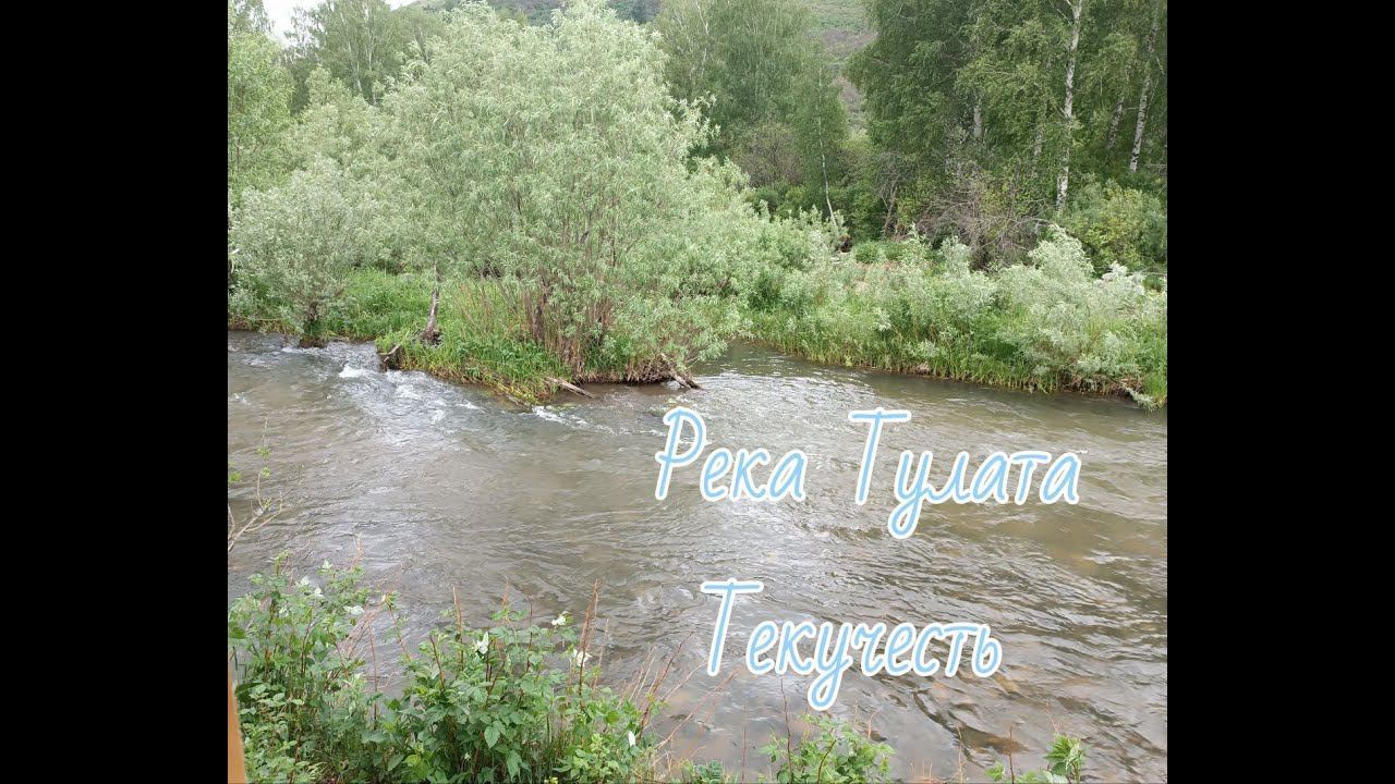 Река Тулата Алтайский край #Сорадение #КристальныеРеки #Текучесть