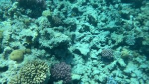 Экскурсия на остров Paradise. Чем гиды удивили в этот раз? Египет 2022.