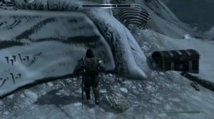 Skyrim - Wierd Housecarl Glitch