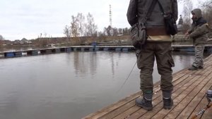 Ловля форели на платнике.