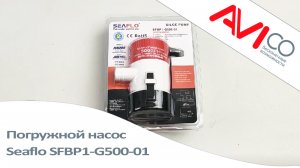 Погружной насос Seaflo SFBP1-G500-01