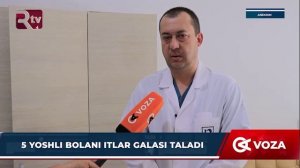 5 yoshli bolani itlar galasi taladi