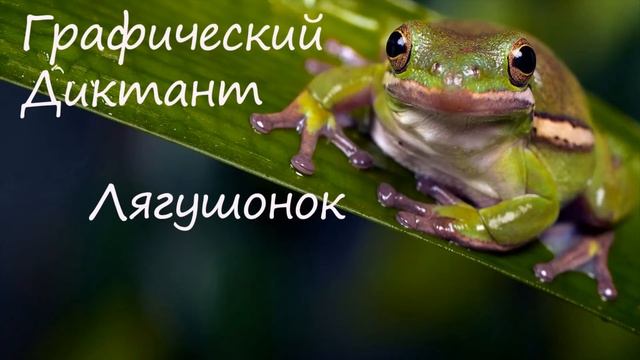 Графический Диктант Лягушонок смотреть онлайн
