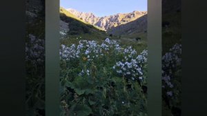 Возвращаемся мы с покоренных вершин...оставляя там свое сердце ❤️❤️❤️