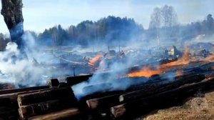 🔥 Огнеборцы Прикамья продолжают бороться с природными пожарами