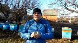 ПЧЕЛОВОДСТВО.КАКАЯ ТЕМПЕРАТУРА В УЛЬЕ ВО ВРЕМЯ ЗИМОВКИ!!!