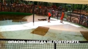 Смертельные трюки с крокодилами