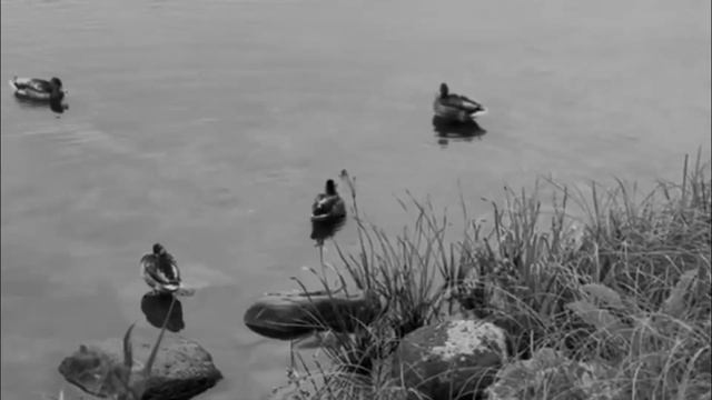 Говорят...#SkyWord #VadimKuprijanov смотреть онлайн