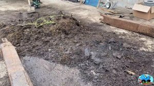 Первый запуск и прогрев двигателя ДТ 75 за долгие годы