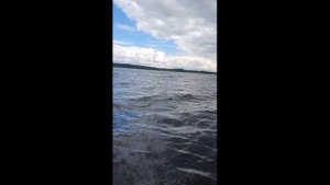 РЫБАЛКА НА СЕЛИГЕРЕ СУДАК