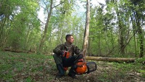 Валка леса или что ожидает лесозаготовку // Все остались без работы? // Кризис в лесу