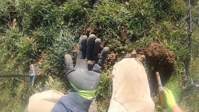 E29: Field hunting with the minelab equinox 800 with the 15" coil смотреть онлайн