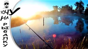 Когда у щуки захлопнута пасть