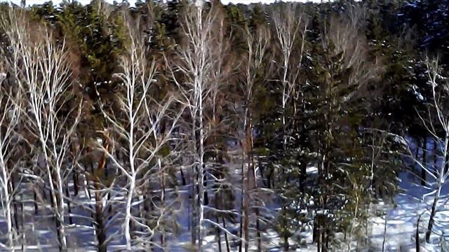 Тест камеры на Syma X8C смотреть онлайн