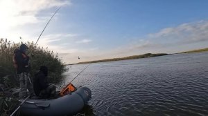 Рыбалка с друзьями. Волга. П. Вышка. Астраханская область. Логово сазана. Часть 3