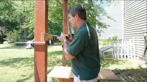 DeWalt DCF815 12-volt Impact Driver