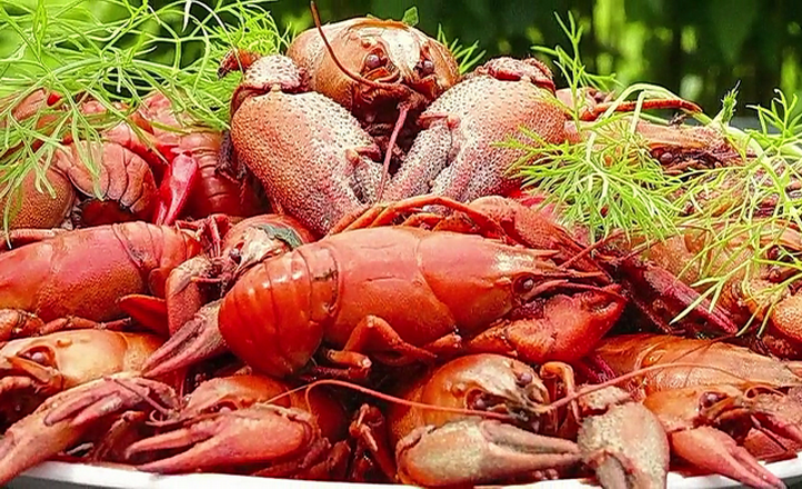 Рыбаки ловили рыбу, а поймали.mp4 смотреть онлайн