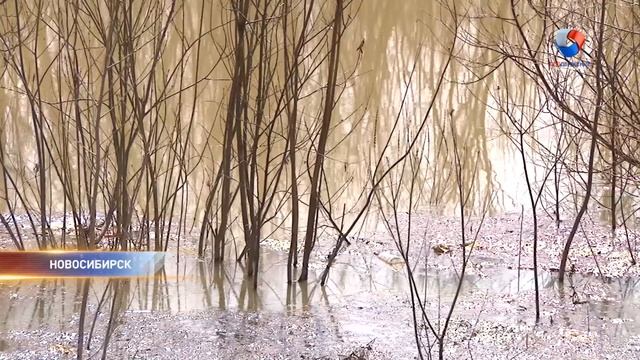 Протоку Оби заваливают песком смотреть онлайн