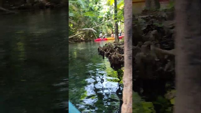 Каякинг 1000 бат=2000 руб. от пляжа Ао Нанг до  Лагуны Клонг Нам Сай. Klong Root (Clear Water Canal